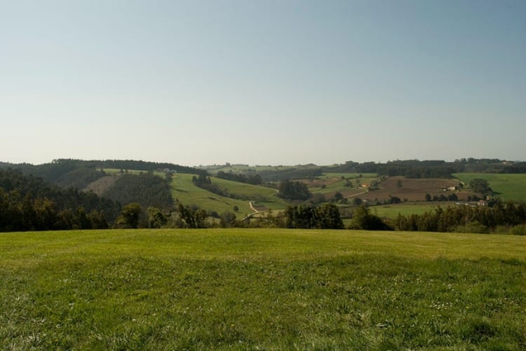 Central Lechera Asturiana, la marca láctea que mejor conecta con los españoles
